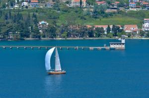 jedrilica-regata-lansjerna-djenovici    